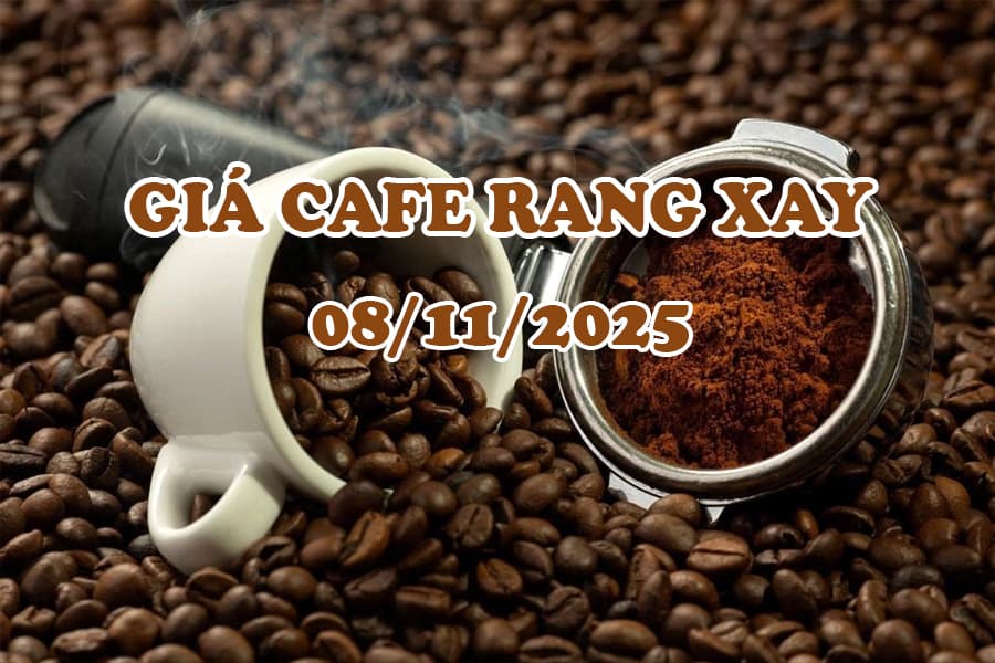Giá cà phê rang xay 08/11/2025 - Thị trường cà phê Việt tăng tốc – Dự báo giá còn tiếp tục leo thang