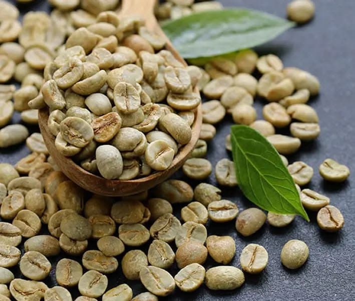 Cà Phê Nhân S18 Là Gì? Đặc Điểm, Tiêu Chuẩn Và Cách Chọn Mua