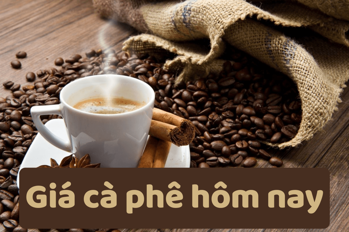 Giá cà phê rang xay hôm nay 24/09/2025: Thị trường giảm trở lại, tín hiệu trái chiều