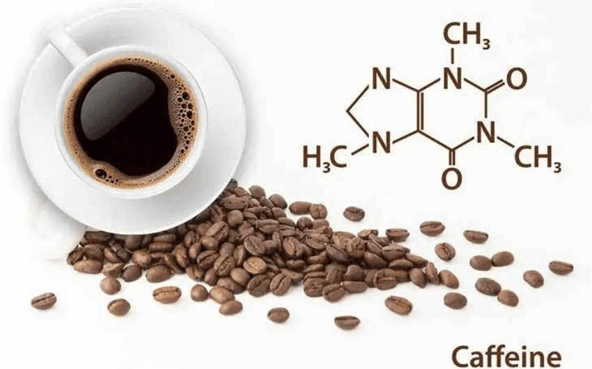 Caffeine – Khi Khoa Học, Hương Vị Và Cảm Xúc Gặp Nhau Trong Mỗi Tách Cà Phê