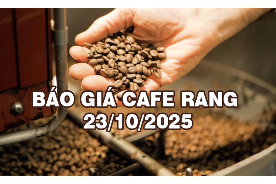 Giá Cà Phê Hôm Nay 23/10/2025: Đà Tăng Quay Lại, Robusta Và Culi Tăng Mạnh Nhất