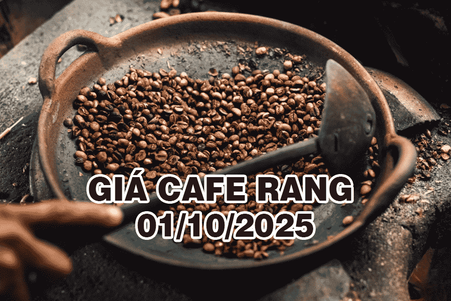 Giá cà phê rang hôm nay 01/10/2025: Khởi động tháng mới với đà tăng nhẹ