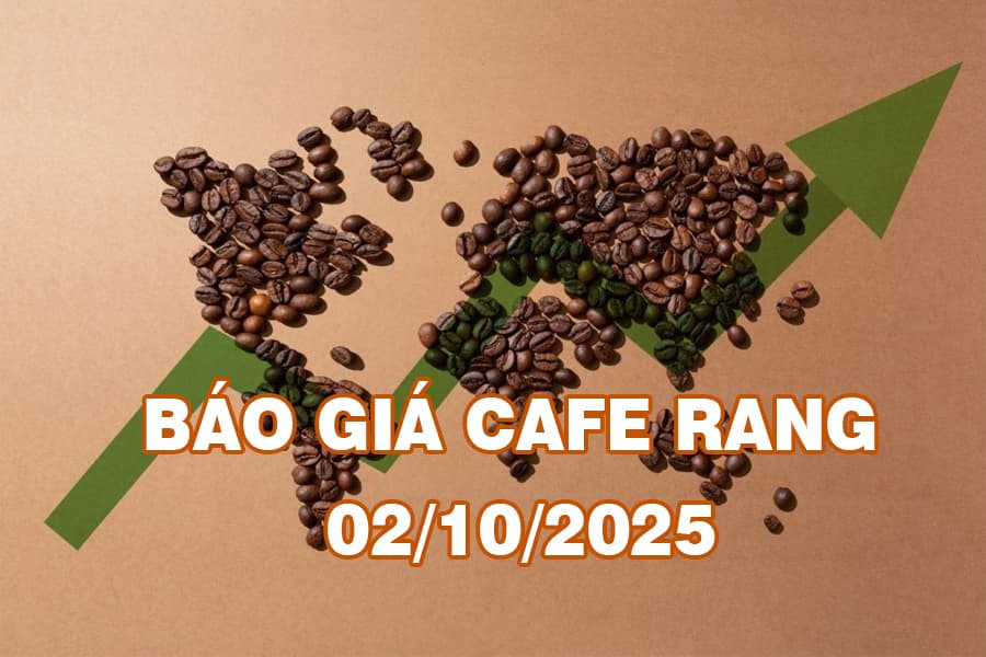 Thị trường cà phê rang xay 02/10: Giá đồng loạt đi lên, đà tăng mạnh nhất trong 1 tháng qua