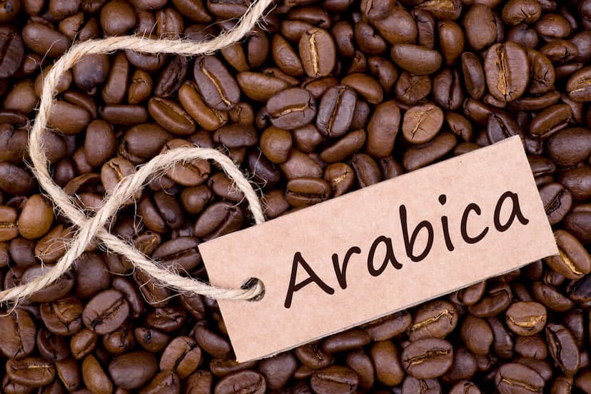 Cà phê hạt Arabica